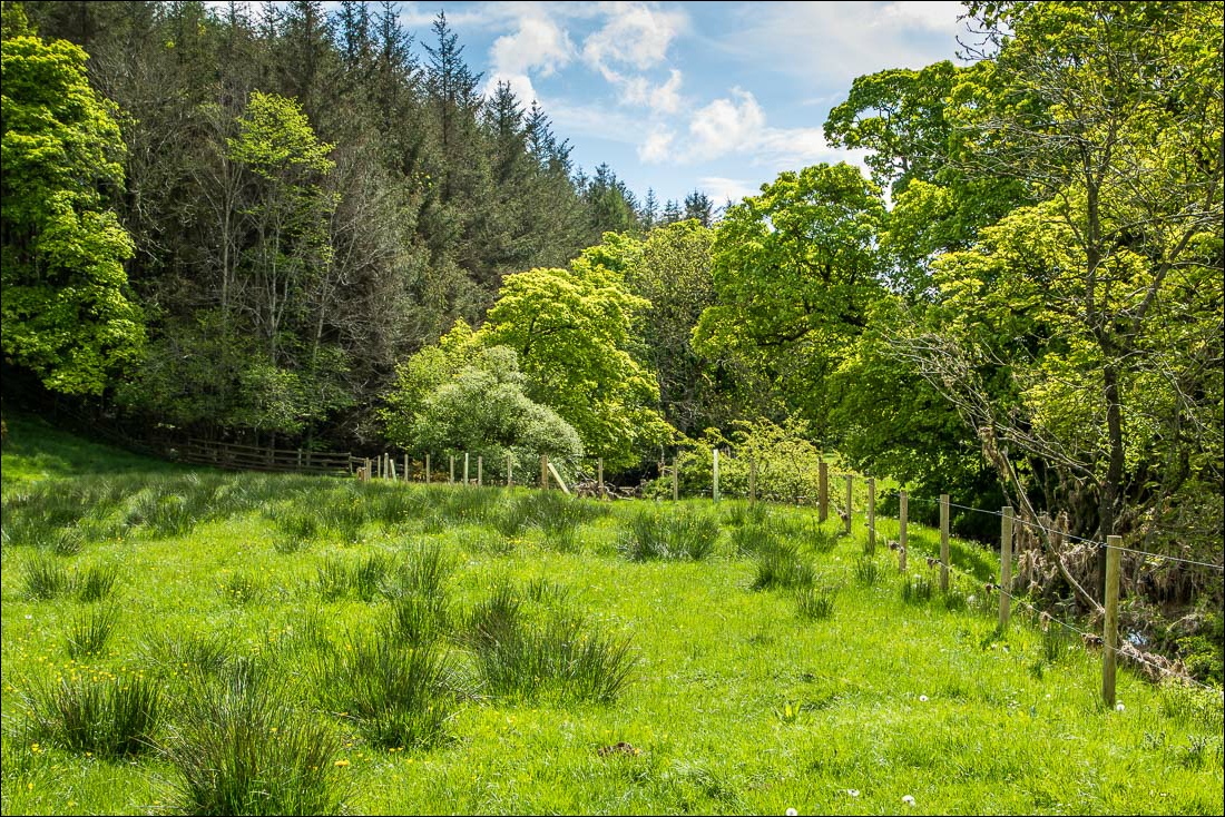 Rutter Force walk - walks from Hoff - Eden Valley walks